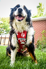 Load image into Gallery viewer, Performance Vest