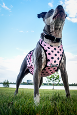 Load image into Gallery viewer, Performance Vest