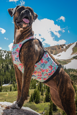 Load image into Gallery viewer, Performance Vest